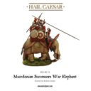 Warlord Games_Hail Caesar WAR ELEPHANT 2