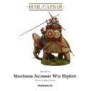 Warlord Games_Hail Caesar WAR ELEPHANT 3