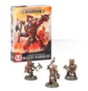 Games Workshop_Warhammer Age of Sigmar Easy to Build- Blood Warriors