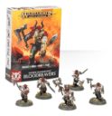 Games Workshop_Warhammer Age of Sigmar Easy to Build- Bloodreavers