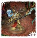 Games Workshop_Warhammer Age of Sigmar Sylvaneth Branchwych 3