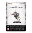 Games Workshop_Warhammer Age of Sigmar Tenebrael Shard 3