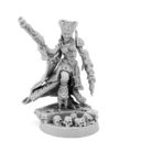 WE_Wargame_Exclusive_Heresy_Hunter_Daemonette_Inquisitor_1