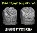 Desert Torsos