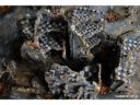 sl_studio_level_resin_terrain_news_dez_2016_42