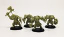 Warhansa_Orc brutes 1