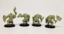 Warhansa_Orc brutes 3