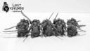 Lost Kingdom Miniatures_Chaos Dwarfes Elite Guard with Command group 6