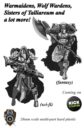 SW Shieldwolf Kickstarter Warmaidens Preview