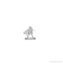 WizKids_D&D Icons of the Realms Miniatures Epic Level Starter 10