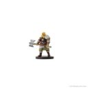 WizKids_D&D Icons of the Realms Miniatures Epic Level Starter 5