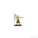 WizKids_D&D Icons of the Realms Miniatures Epic Level Starter 6