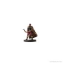 WizKids_D&D Icons of the Realms Miniatures Epic Level Starter 8