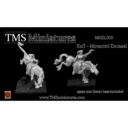 TMS Koe Mounted Damsel