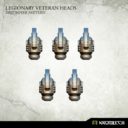 Kromlech Legionary Veteran Heads Destroyer Pattern 3