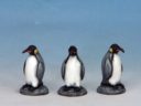 Cp Penguins