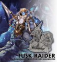 Ninja Division Super Dungeon Explore Tusk Raider 1