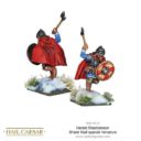 Warlord Games Hail Caesar Shield Wall2