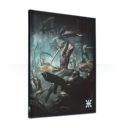 Games Workshop Warhammer 40.000 Codex Harlequins Collector's Edition (Englisch) 1