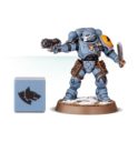 Games Workshop Warhammer 40.000 Würfel Der Space Wolves 3