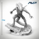 Prodos AvP Aug5