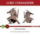 LSM Last Sword Miniatures Elven Lords II Dragon's Roar 10