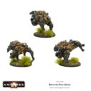 Warlord Boromite Rock Brood 02