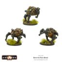 Warlord Boromite Rock Brood 03