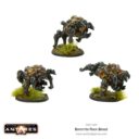 Warlord Boromite Rock Brood 04