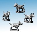 Northstar Frostgrave Fighting Dog Preview