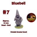 Midlam Gnome Ks8