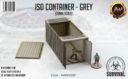 Antenocitis Workshop ISO Container – Grey 4