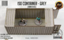 Antenocitis Workshop ISO Container – Grey 5