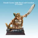 SC Spellcrow Female Gnome With Sword And Crossbow