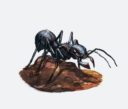 AntiMatter Games ShadowSea Bull Ant Concept