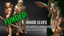 AM Atlantis Miniatures 28mm Wood Elves Kickstarter 1