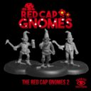 LEP Red Cap Gnomes 2.