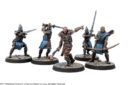 Modiphius CalltoArms Stormcloaks