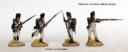 Perry Miniatures Neue Franzosen 05