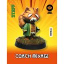 ZM Coach Miyagi