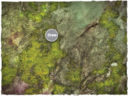 DCS Game Mat – Xenos Jungle 3