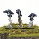 Statuesque Miniatures Neuheiten 03