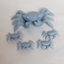 IronGate Crabs 01