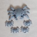 IronGate Crabs 02