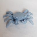 IronGate Crabs 03