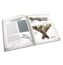 Games Workshop Aeronautica Imperialis Taros Air War Campaign Book (Englisch) 3