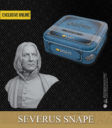 KM Snape S Bust 02