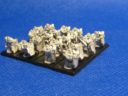 Vanguard Miniatures Forlorn Hope Storm Squads 06