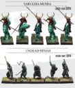 Kensei Undead Rising Kickstarter A 4