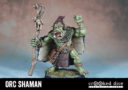 Crooked OrcShaman